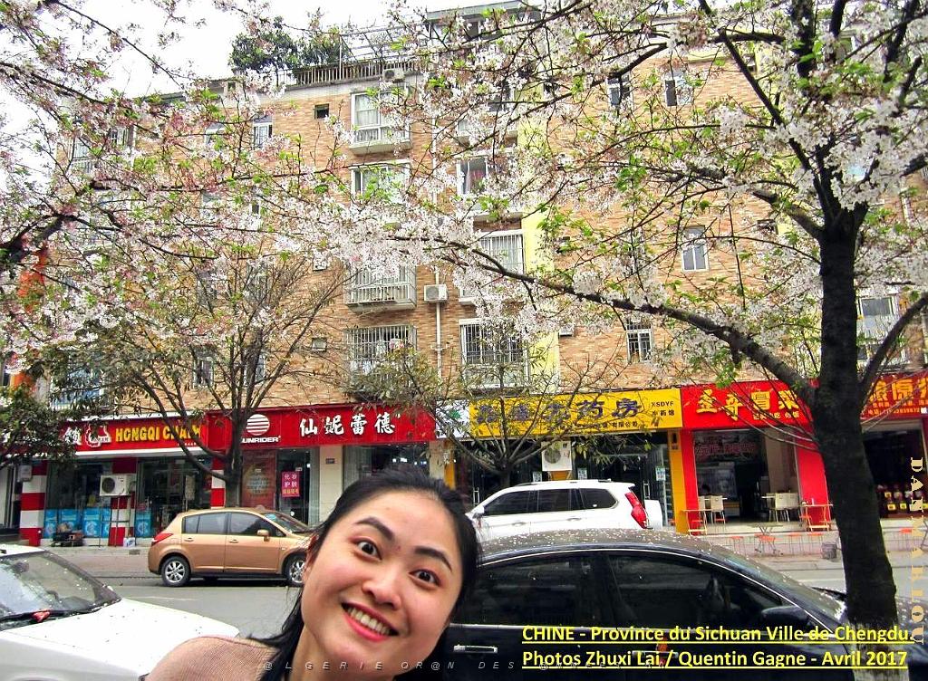 Chengdu avril 2017 - 005.JPG
